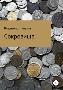 Владимир Липатов Сокровище обложка книги