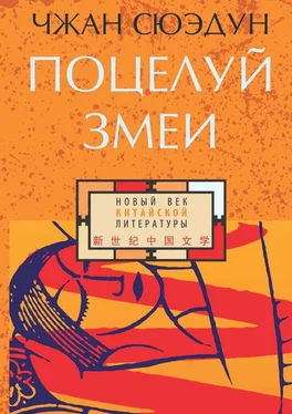 Сюэдун Чжан Поцелуй змеи обложка книги