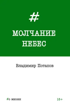 Владимир Потапов Молчание небес обложка книги