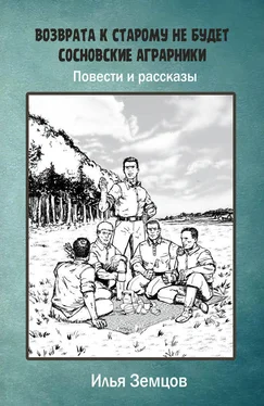 Илья Земцов Возврата к старому не будет обложка книги