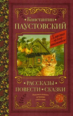 Константин Паустовский Рассказы. Повести. Сказки обложка книги