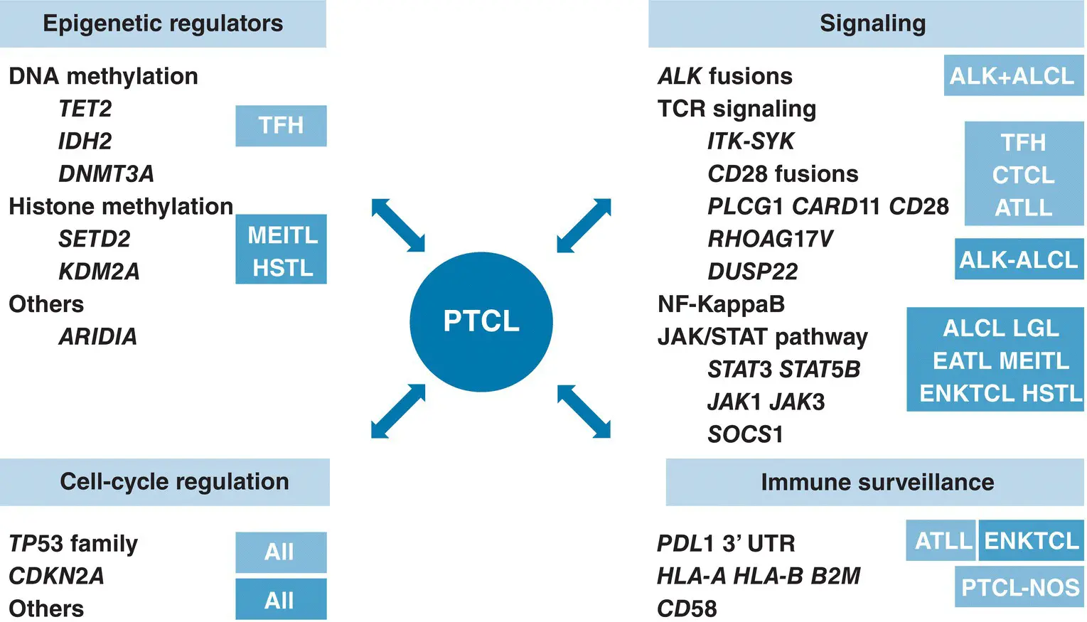 Figure 21 Summary of deregulated signaling pathways in peripheral Tcell - фото 7