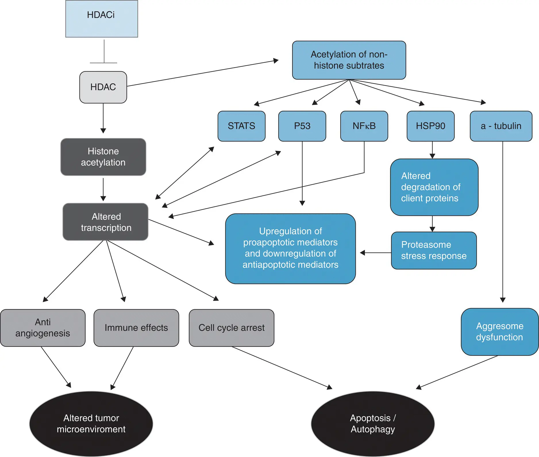 Figure 32 A simplified schematic of the action of histone deacetylase - фото 11
