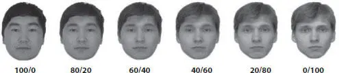 Figure 127 Transition row of face images from which the goal stimulus pairs - фото 16