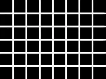 Figure 1218 Hermanns grid Figure 1219 Complementary grid of Hermann - фото 27