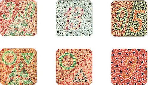 Figure 1222 Test images for determining color blindness Subjective Color - фото 31
