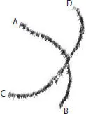 Figure 139 Grouping factor good continuation Factor common - фото 42