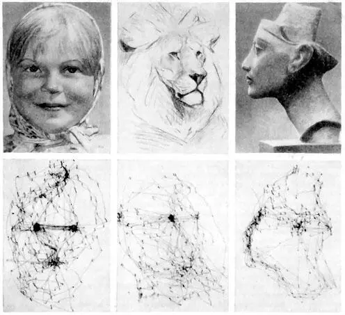 Figure 128 Schemes of eye movement when viewing various images Yarbus - фото 17