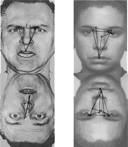 Figure 126 Examples of oculograms of different test subjects who perceive the - фото 15