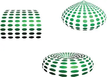 Figure 1319 Threedimensional subjective contours 134 The Dependence of - фото 52