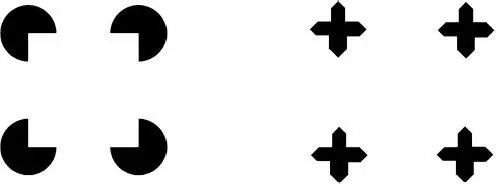 Figure 1318 The weakening of the subjective central rectangular contour - фото 51