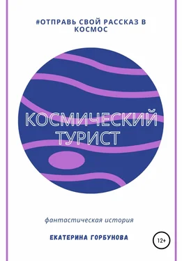 Екатерина Горбунова Космический турист обложка книги