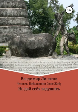 Владимир Липатов Человек, Победивший Свою Жабу обложка книги