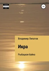 Владимир Липатов - Икра