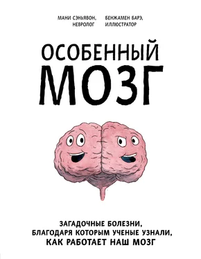 Мани Сэньявон Особенный мозг. Загадочные болезни, благодаря которым ученые узнали, как работает наш мозг обложка книги