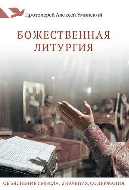 Протоиерей Алексей Уминский Божественная Литургия. Объяснение смысла, значения, содержания обложка книги