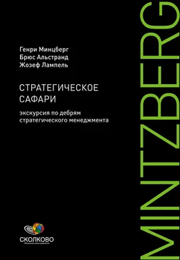 Брюс Альстранд Стратегическое сафари. Экскурсия по дебрям стратегического менеджмента обложка книги