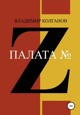 Владимир Колганов Палата № Z обложка книги