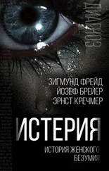 Эрнст Кречмер - Истерия. История женского безумия