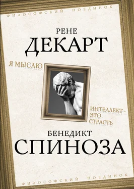 Рене Декарт Я мыслю. Интеллект это страсть обложка книги