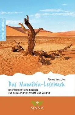 Almut Irmscher Das Namibia-Lesebuch обложка книги