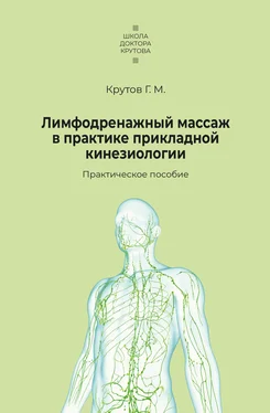Григорий Крутов Лимфодренажный массаж в практике прикладной кинезиологии обложка книги