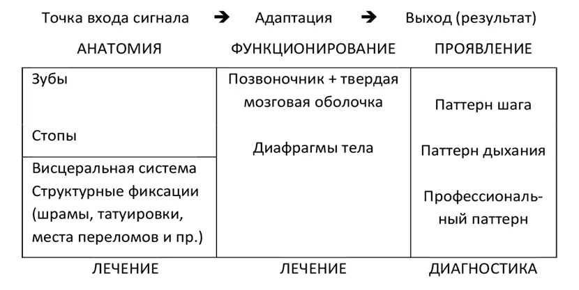 Для структурного аспекта точки входа это стопы которыми мы постоянно - фото 3