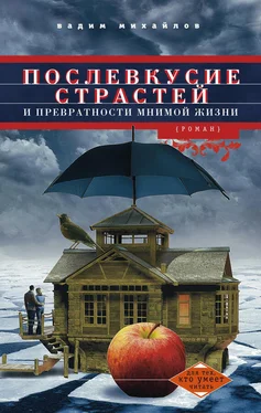 Вадим Михайлов Послевкусие страстей и превратности мнимой жизни обложка книги