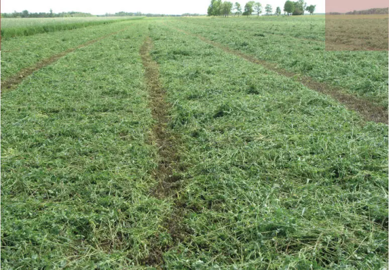 Alfalfa Management Guide Authors Dan Undersander Extension agronomist - фото 1