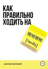 Василий Шелковой - Как правильно ходить на гемба