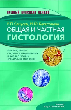 Рудольф Самусев Общая и частная гистология обложка книги