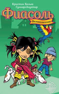 Кристин Хельга Гуннарсдоухтир Великолепная Фиасоль обложка книги