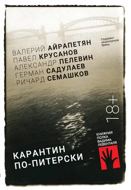 Ричард Семашков Карантин по-питерски обложка книги