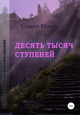 Сонич Матик Десять тысяч ступеней обложка книги