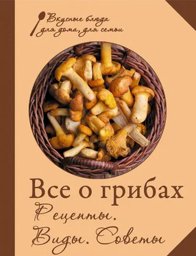 Сборник рецептов Все о грибах. Рецепты. Виды. Советы обложка книги