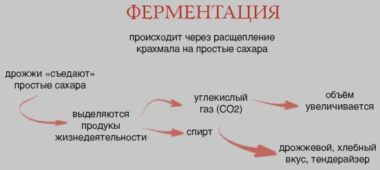 Пожалуй одной из наиболее значимых тенденций для производителей пиццы в - фото 5