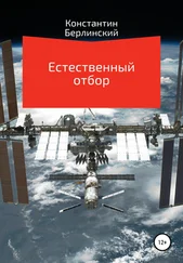 Константин Берлинский - Естественный отбор