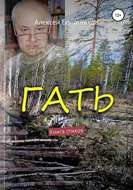 Алексей Болотников Гать обложка книги