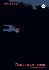Ник. Вулкер - Под снегом темно
