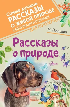 Михаил Пришвин Рассказы о природе. С вопросами и ответами для почемучек обложка книги