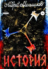 Андрей Меньшиков - История