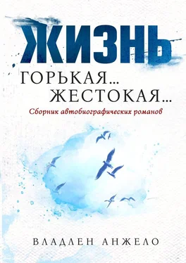 Владлен Анжело Жизнь Горькая… Жестокая… обложка книги