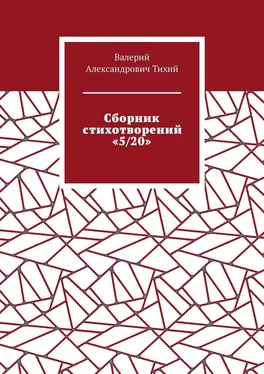 Валерий Тихий Сборник стихотворений «5/20» обложка книги