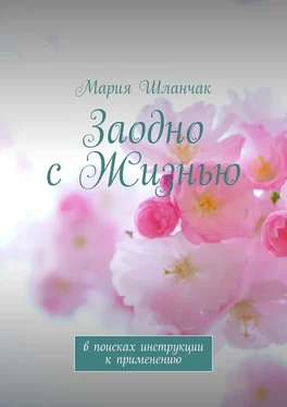 Мария Шланчак Заодно с Жизнью. В поисках инструкции к применению обложка книги