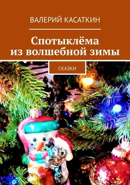 Валерий Касаткин Спотыклёма из волшебной зимы. Сказки обложка книги