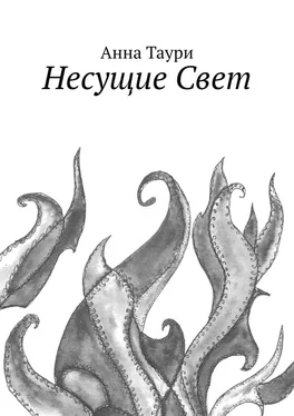 Анна Таури Несущие Свет обложка книги