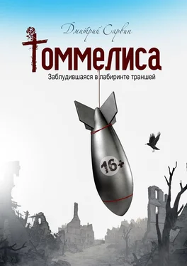 Дмитрий Сарвин Томмелиса. Заблудившаяся в лабиринте траншей обложка книги