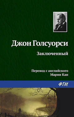 Джон Голсуорси Заключённый обложка книги