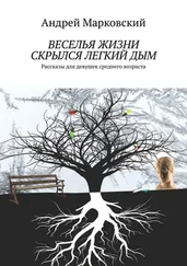 Андрей Марковский - Веселья жизни скрылся легкий дым. Рассказы для девушек среднего возраста