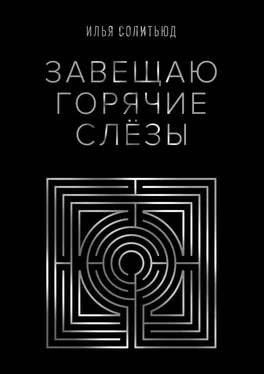 Илья Солитьюд Завещаю горячие слёзы обложка книги